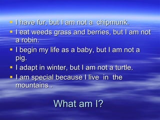 What am I? I have fur, but I am not a  chipmunk. I eat weeds grass and berries, but I am not a robin. I begin my life as a baby, but I am not a pig.  I adapt in winter, but I am not a turtle. I am special because I live  in  the  mountains .  