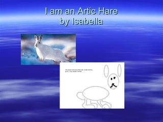 I am an Artic Hare by Isabella 