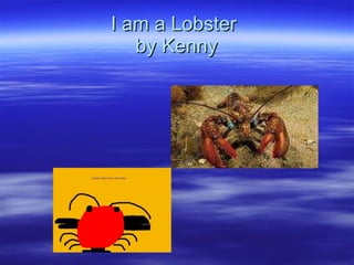 I am a Lobster  by Kenny 