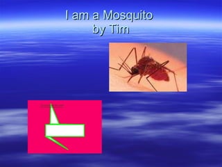I am a Mosquito  by Tim 