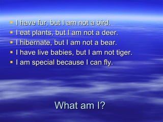 What am I? I have fur, but I am not a bird. I eat plants, but I am not a deer. I hibernate, but I am not a bear.  I have live babies, but I am not tiger.  I am special because I can fly. 