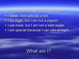 What am I? I have feathers, but I am not a robin . I adapt, but I am not a bat. I lay eggs, but I am not a pigeon.  I eat meat, but I am not a bald eagle. I am special because I can see at night. 