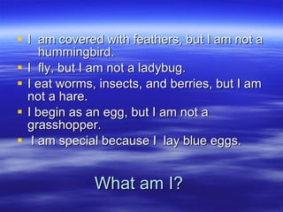 What am I? I  am covered with feathers, but I am not a  hummingbird. I  fly, but I am not a ladybug. I eat worms, insects, and berries, but I am not a hare. I begin as an egg, but I am not a grasshopper. I am special because I  lay blue eggs. 