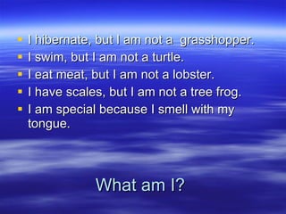 What am I? I hibernate, but I am not a  grasshopper. I swim, but I am not a turtle. I eat meat, but I am not a lobster. I have scales, but I am not a tree frog. I am special because I smell with my tongue. 