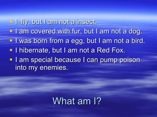 What am I? I  fly, but I am not a insect. I am covered with fur, but I am not a dog.  I was born from a egg, but I am not a bird. I hibernate, but I am not a Red Fox.  I am special because I can pump poison into my enemies. 