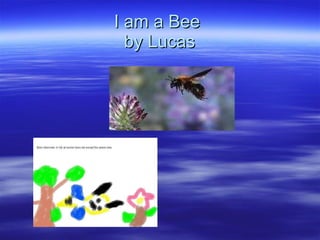I am a Bee  by Lucas 