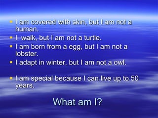 What am I? I am covered with skin, but I am not a human.  I  walk, but I am not a turtle.  I am born from a egg, but I am not a lobster.  I adapt in winter, but I am not a owl.  I am special because I can live up to 50 years.  