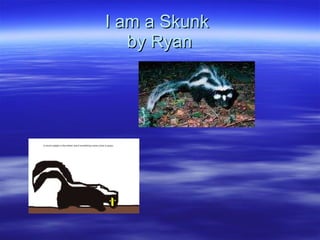 I am a Skunk  by Ryan 