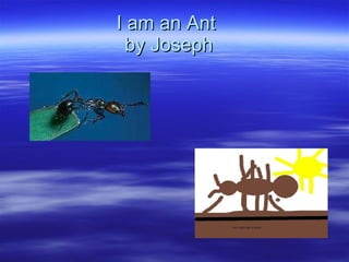 I am an Ant  by Joseph 