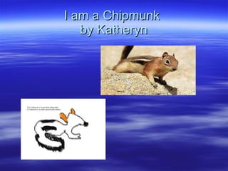 I am a Chipmunk  by Katheryn 