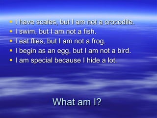 What am I? I have scales, but I am not a crocodile. I swim, but I am not a fish. I eat flies, but I am not a frog. I begin as an egg, but I am not a bird. I am special because I hide a lot. 