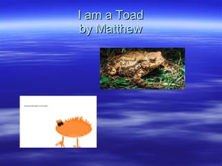 I am a Toad by Matthew 