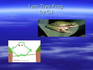 I am Tree Frog  by CJ 