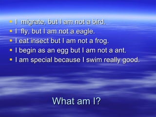What am I? I  migrate, but I am not a bird. I  fly, but I am not a eagle. I eat insect but I am not a frog. I begin as an egg but I am not a ant. I am special because I swim really good. 