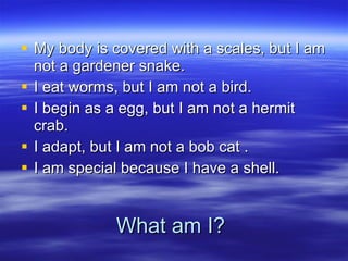What am I? My body is covered with a scales, but I am not a gardener snake. I eat worms, but I am not a bird. I begin as a egg, but I am not a hermit crab. I adapt, but I am not a bob cat . I am special because I have a shell. 
