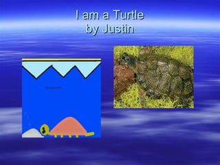 I am a Turtle by Justin 