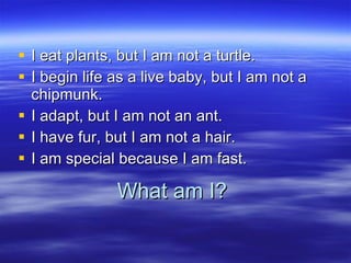 What am I? I eat plants, but I am not a turtle. I begin life as a live baby, but I am not a chipmunk.  I adapt, but I am not an ant. I have fur, but I am not a hair. I am special because I am fast. 