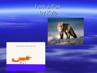 I am a Fox  by Kyle 
