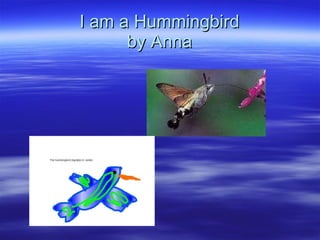 I am a Hummingbird by Anna 