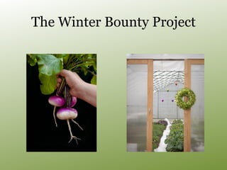The Winter Bounty Project
 