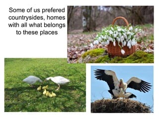 Some of us prefered
countrysides, homes
with all what belongs
to these places
 