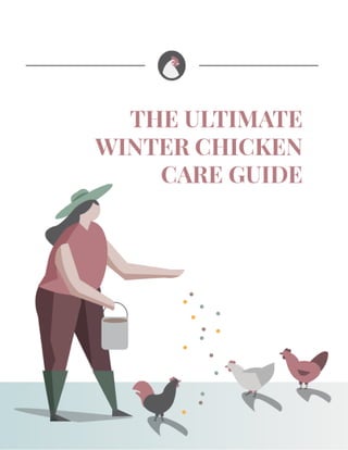 1 The Ultimate Winter Chicken Care Guide 
 