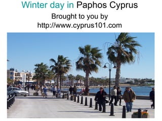 Winter day in  Paphos Cyprus Brought to you by   http://www.cyprus101.com 