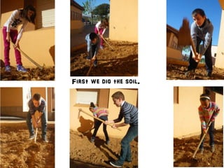 First we dig the soil.
 