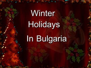 Winter  Holidays In   Bulgaria 