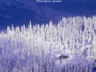 Winter Haven, Germany 