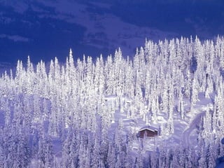 冬之印象（Winter images）