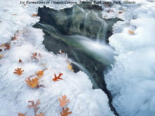 Ice Formations in Illinois Canyon, Starved Rock State Park, Illinois 