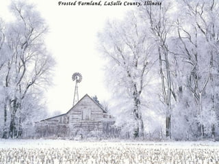 Frosted Farmland, LaSalle County, Illinois 