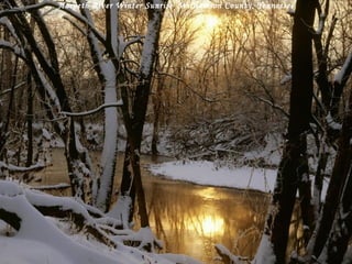 Harpeth River Winter Sunrise ,  Williamson County, Tennessee 