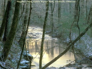 Vaughn's Creek, Edwin Warner Park, Nashville, Tennessee 