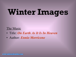 Winter Images ,[object Object],[object Object],[object Object]