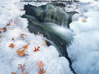 Ice Formations in Illinois Canyon, Starved Rock State Park, Illinois 