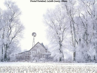 Frosted Farmland, LaSalle County, Illinois 