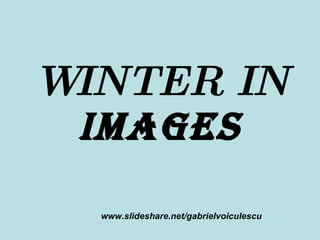 WINTER IN  IMAGES www.slideshare.net/gabrielvoiculescu 