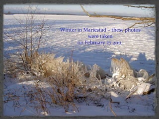 Winter in Mariestad – thesephotoswere taken  on February 27 2011. 