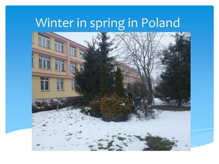 Winter in spring in Poland
 
