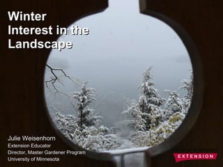 Julie Weisenhorn Extension Educator Director, Master Gardener Program University of Minnesota Winter Interest in the Landscape 