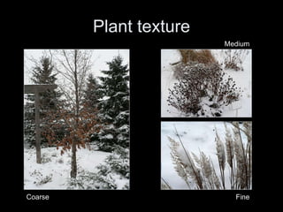 Plant texture Coarse Medium Fine 