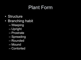 Plant Form Structure Branching habit Weeping Upright Prostrate Spreading Rounded Mound Contorted 