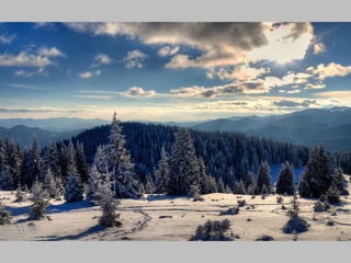 Winter in the rhodope mountains