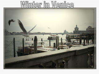 Winter in Venice 