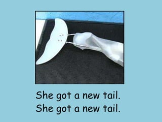 She got a new tail.She got a new tail.