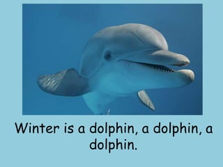 Winter is a dolphin, a dolphin, a dolphin. 