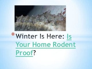 *

Is
Your Home Rodent
Proof

 