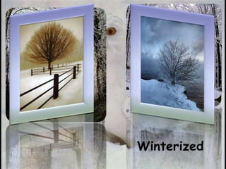 Winterized 